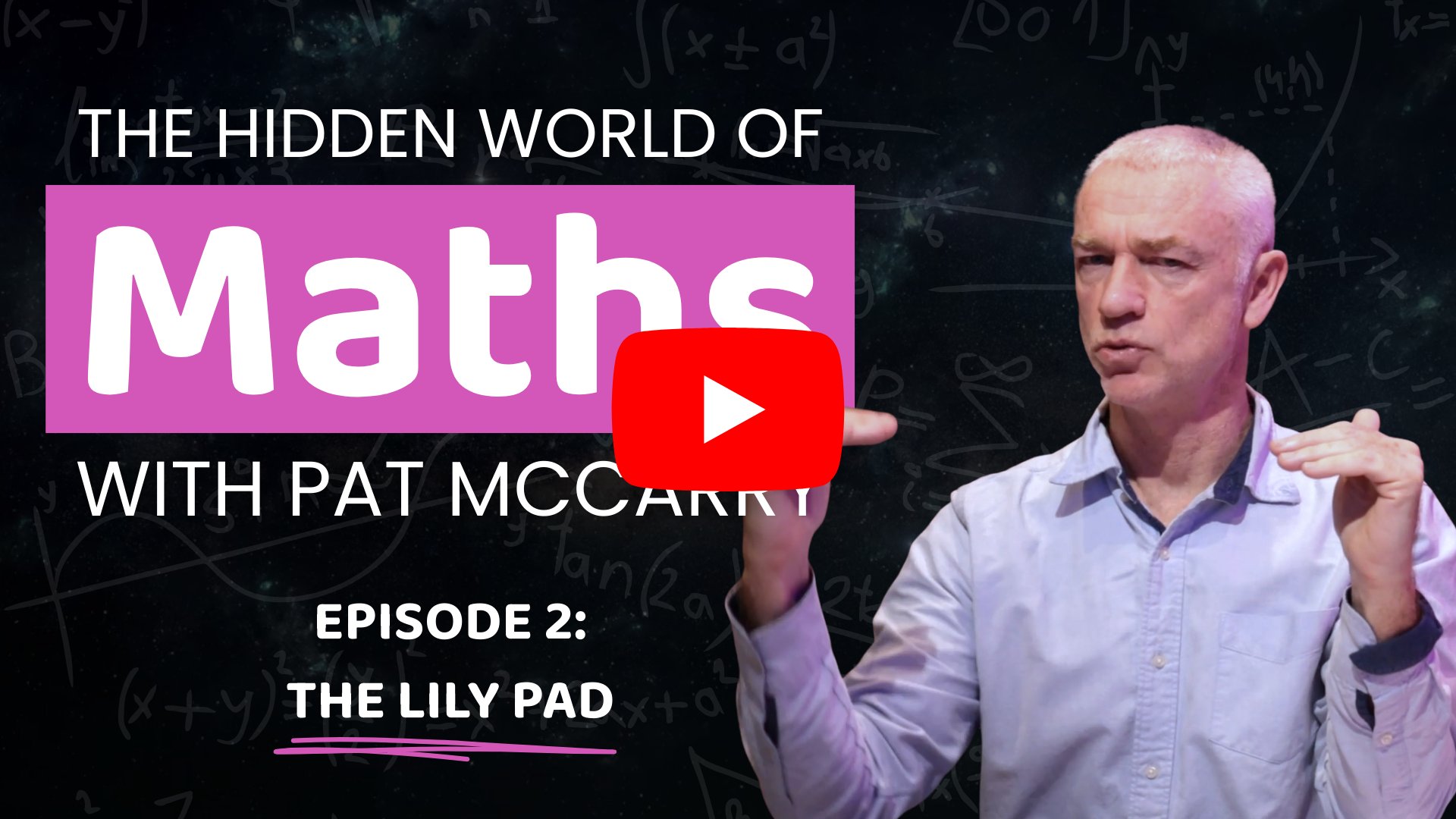 Episode 2 - The Lilly Pad